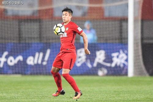 每日大赛独家爆料.热门大瓜子,热门大瓜子背后的精彩故事